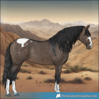 Horse Color:Brown Dun Varnish Rabicano 