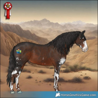 Horse Color:Liver Chestnut Sabino 