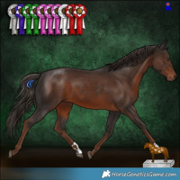 Horse Color:Liver Chestnut 