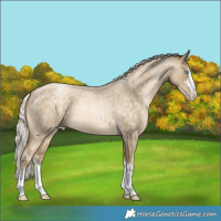 Horse Color:Silver Buckskin Roan Pearl 