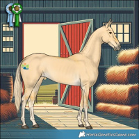 Horse Color:White Spotted Palomino Dun 