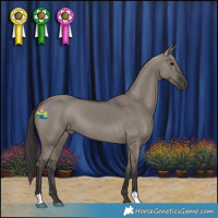 Horse Color:Smoky Grullo