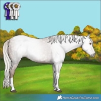 Horse Color:Gray Silver Black Pearl Tobiano 
