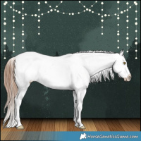Horse Color:White Spotted Red Dun Splash Appaloosa Rabicano 