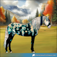 Horse Color:Palomino Onyx Sabino 