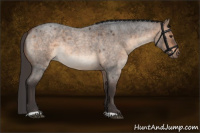 Horse Color:Bay Roan Dun Rabicano 