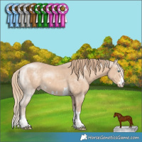 Horse Color:Perlino 