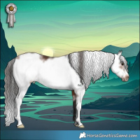 Horse Color:Brown Sabino Frame 