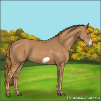 Horse Color:Chestnut Frame 