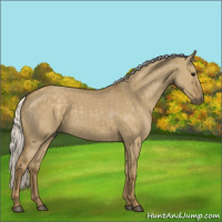 Horse Color:Silver Smoky Grullo 