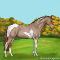 Horse Color:Red Roan Tobiano 