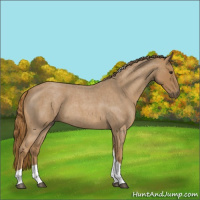 Horse Color:Red Roan Tobiano 