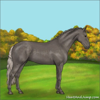 Horse Color:Silver Black 