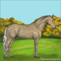 Horse Color:Silver Smoky Black 