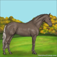 Horse Color:Silver Black 