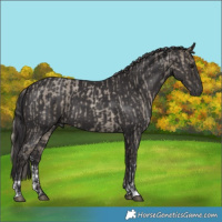Horse Color:Silver Smoky Grullo Roan Tobiano Rabicano  and Smoky Black Sabino 