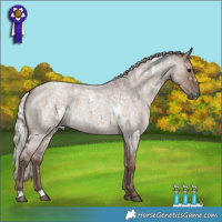 Horse Color:White Spotted Silver Grullo Roan