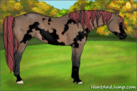 Horse Color:Void Painted White Spotted Brown Dun Frame 