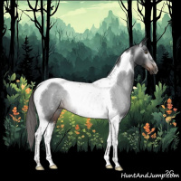 Horse Color:Gray Liver Chestnut Tobiano Rabicano 