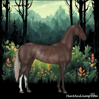 Horse Color:Silver Brown Rabicano 