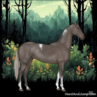 Horse Color:Silver Black Tobiano Rabicano 