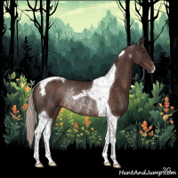 Horse Color:Silver Brown Tobiano Rabicano 