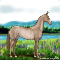Horse Color:Liver Chestnut Pearl Rabicano 