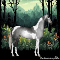 Horse Color:Gray Silver Brown Tobiano Rabicano 