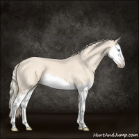 Horse Color:Perlino Sabino Splash