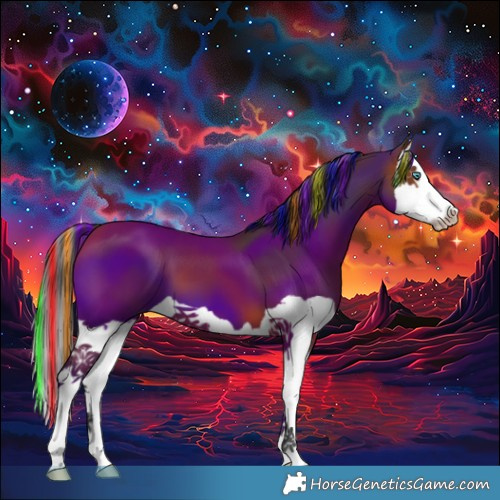 Horse Color:Painted Bay Splash 