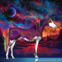 Horse Color:Painted Bay Splash 