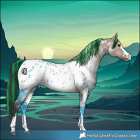 Horse Color:Painted White Spotted Brown Dun Appaloosa 