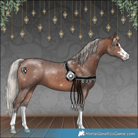Horse Color:Silver Brown 