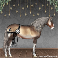 Horse Color:Silver Brown Onyx