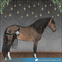 Horse Color:Brown Dun 