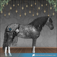 Horse Color:Black Ice 