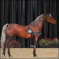 Horse Color:Silver Brown 