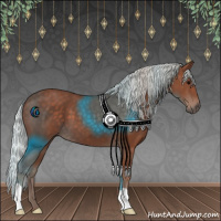 Horse Color:Silver Black 