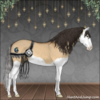 Horse Color:Buckskin Dun Splash 
