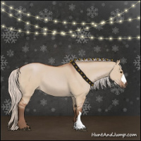 Horse Color:Silver Bay Dun 