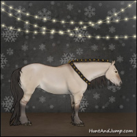 Horse Color:Bay Roan Dun 