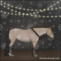 Horse Color:Bay Roan Dun 