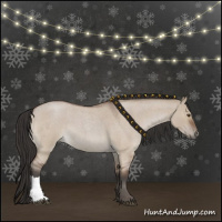 Horse Color:Bay Roan Dun 