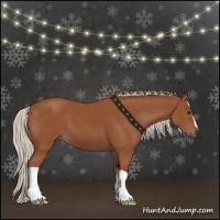 Horse Color:Silver Bay 