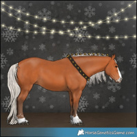 Horse Color:Silver Bay 