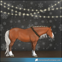 Horse Color:Silver Bay 
