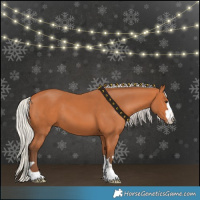 Horse Color:Silver Bay 