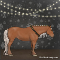 Horse Color:Silver Bay 