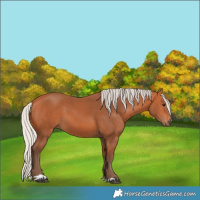 Horse Color:Silver Bay 