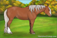 Horse Color:Silver Brown 